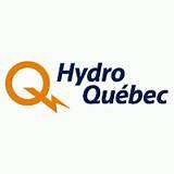 Featured image for “Pourquoi Hydro-Québec dégage les fils près des arbres”